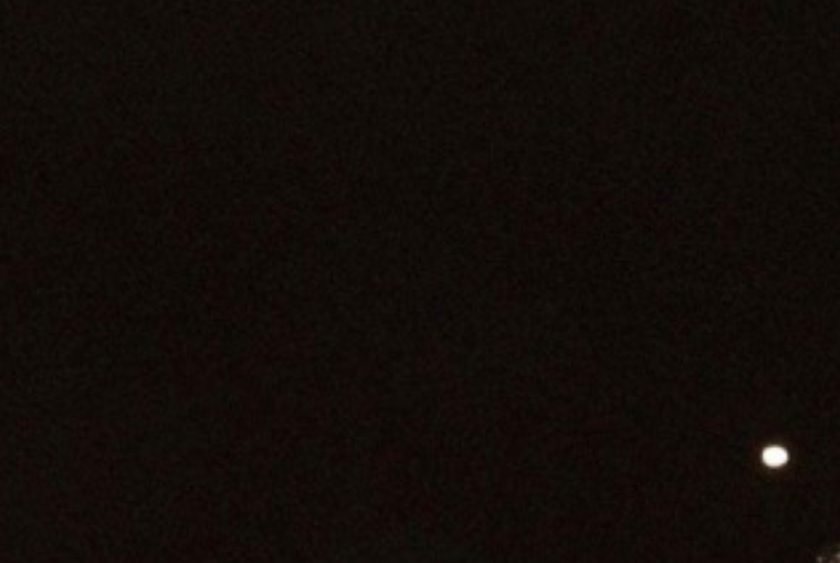 Scoob banner image