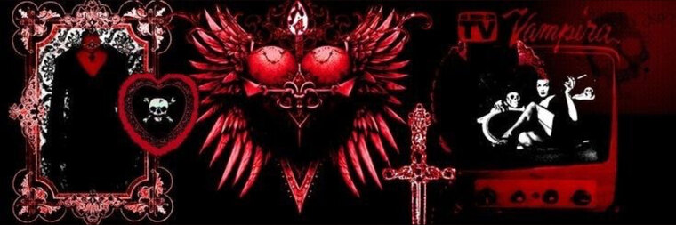 scorpiobr4t . ݁₊(𝒌𝒂𝒕) cover image