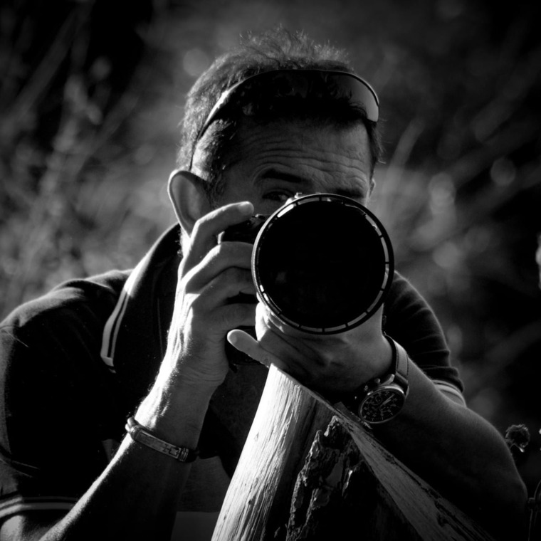 Ernesto M banner image