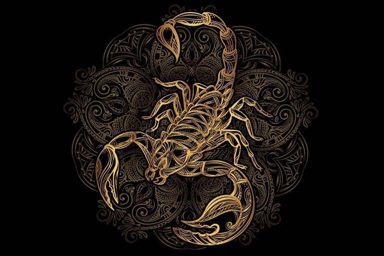 Scorps_VI cover image