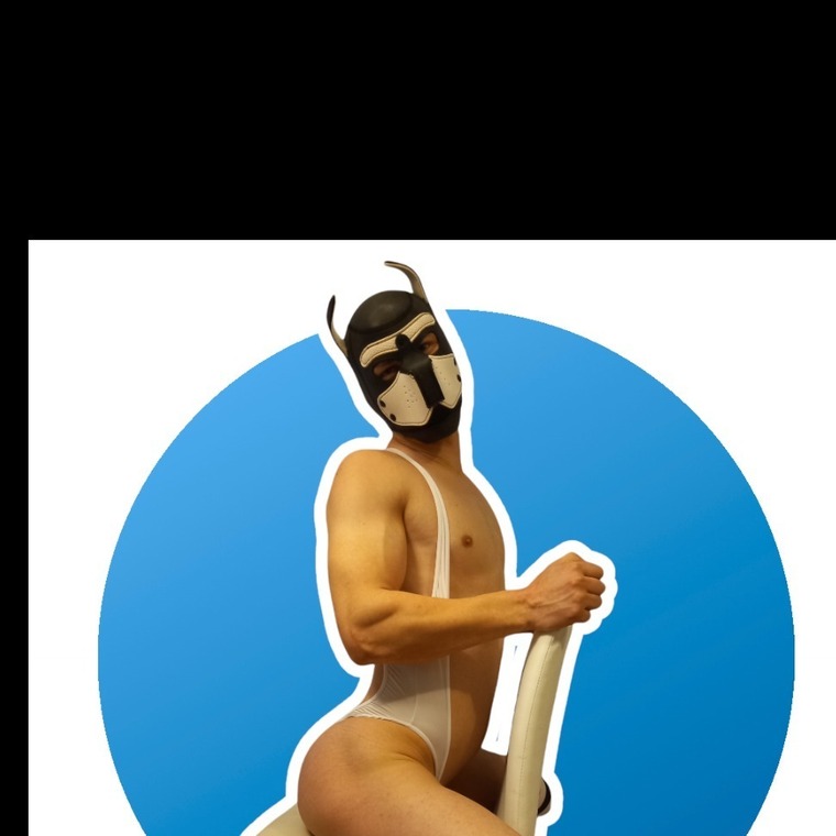 Scotspup cover image