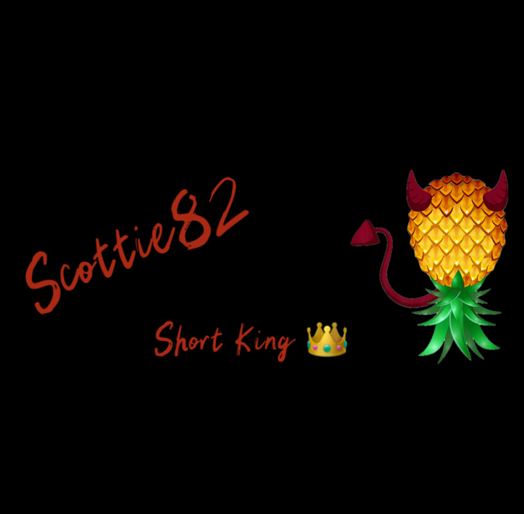 Scottie banner image