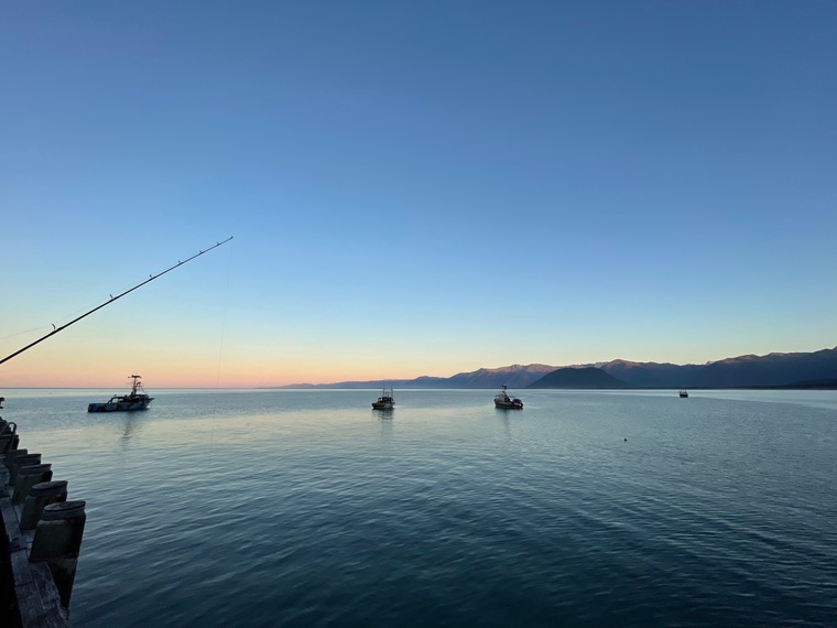 Alba 💕🇳🇿 cover image