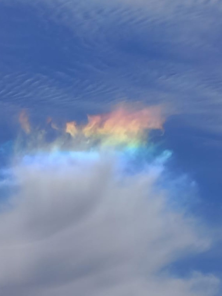 Scarlett Bvby banner image
