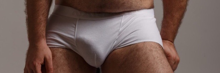 Scruffy Stocky Cub cover image