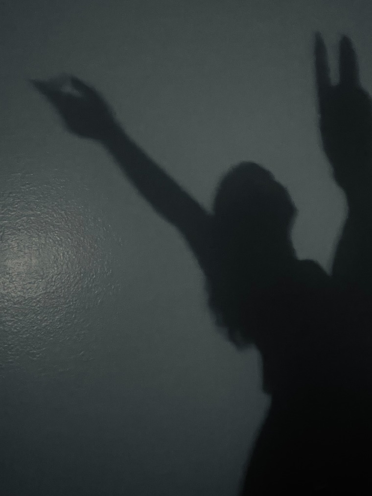 SeacretShadows banner image