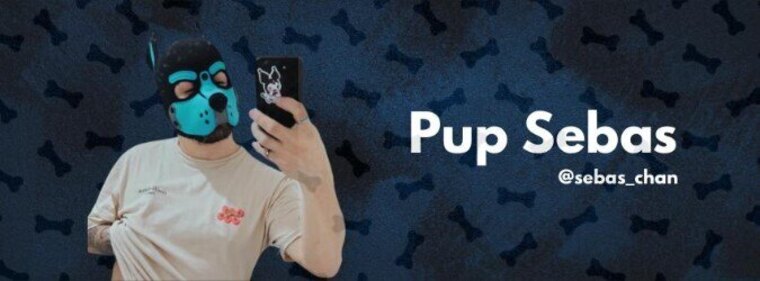 Pup Sebas cover image