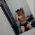 sebastian avatar