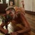 SebitoFem avatar