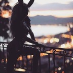 Secret Bunny avatar