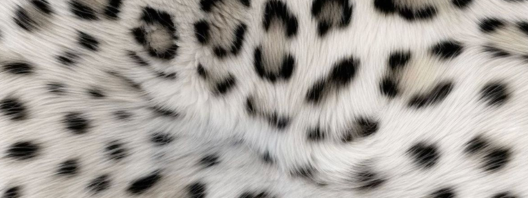 Ivry cover image