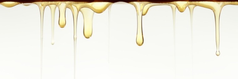 Secret Sole banner image