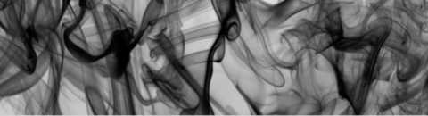 Sαʋαɳɳαԋ cover image