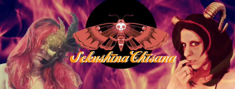 Sekushīna chīsana cover image