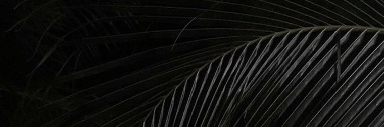 Selah cover image