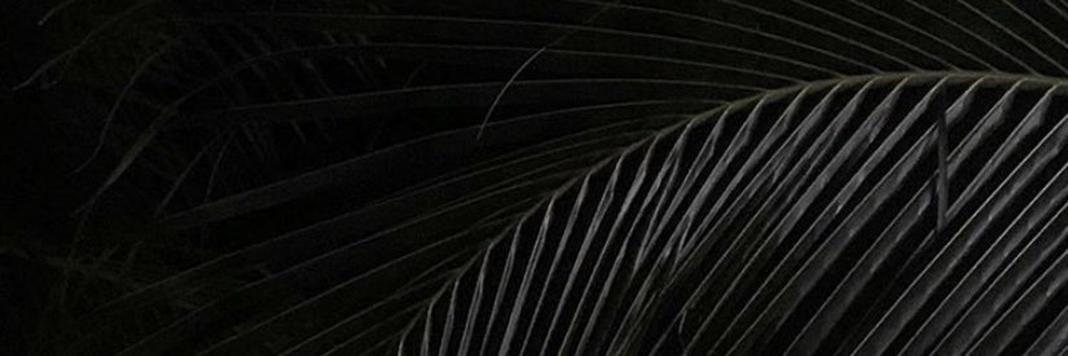Selah banner image