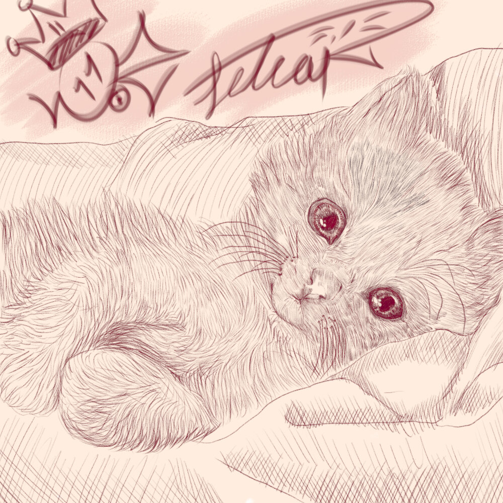 Selear banner image