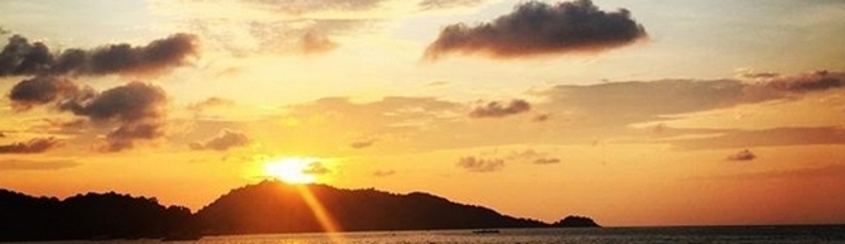 SelenAgency cover image