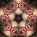 Selva Húmeda avatar