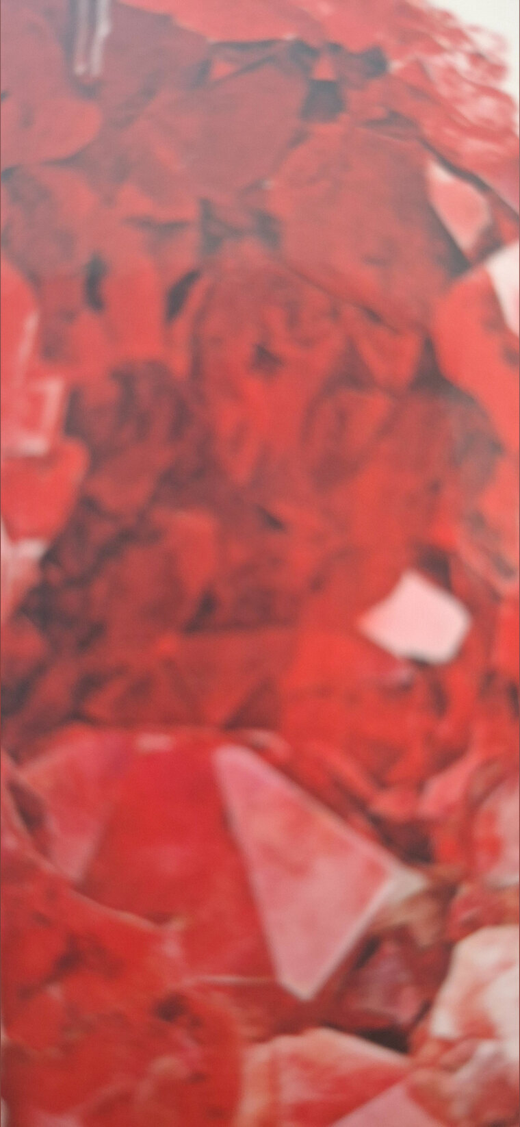 Semi Esla cover image