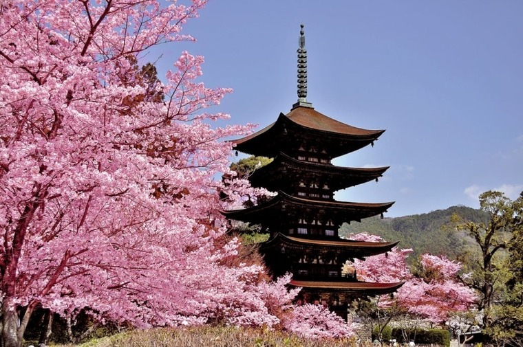 Himitsu cover image