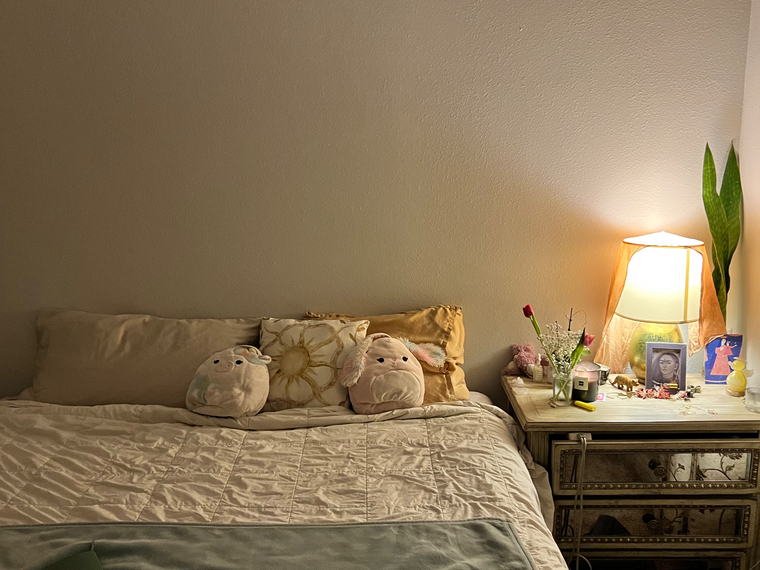 soft sensual banner image