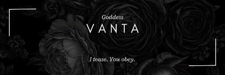 Vanta cover image