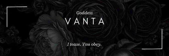 Vanta banner image