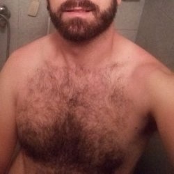 serbcrogay avatar