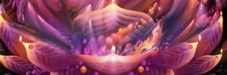 Sereio banner image