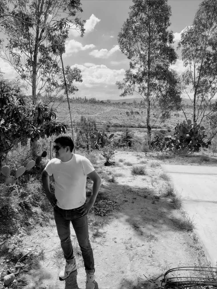 Sergio cover image