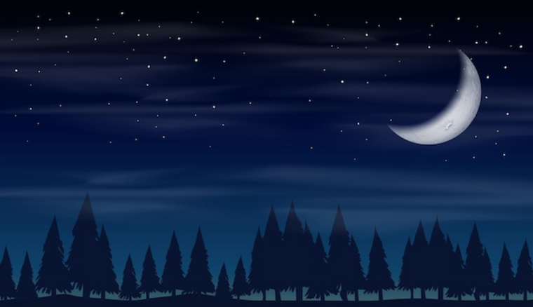 Sergi banner image