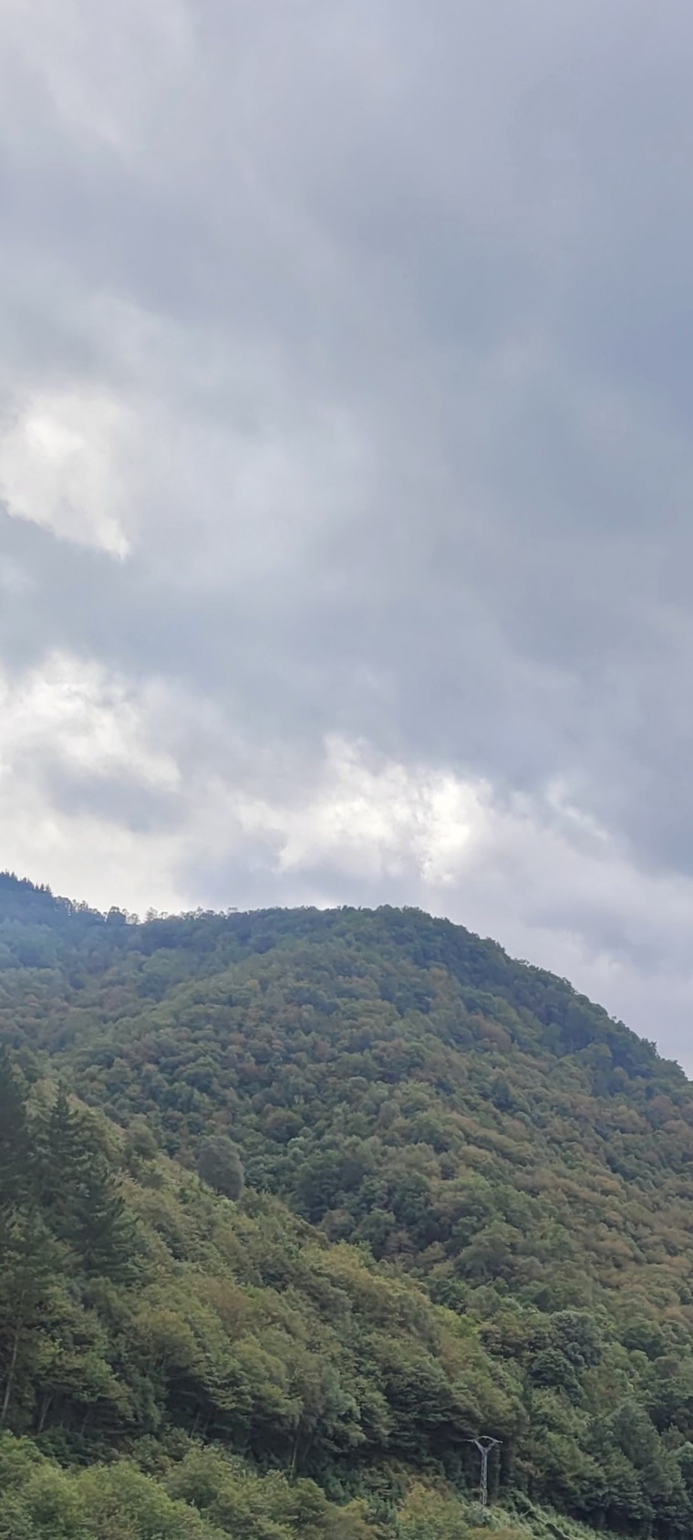 Sergio Sanchez banner image
