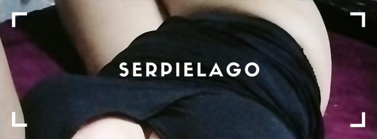 ▄︻デS̷e̷r̷p̷i̷e̷l̷a̷g̷o̷══━一 cover image