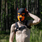 Seth_pup avatar