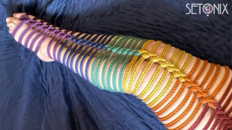 Setonix banner image