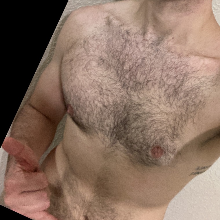 Elvis Motta cover image