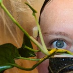 Mrs. Succulent avatar
