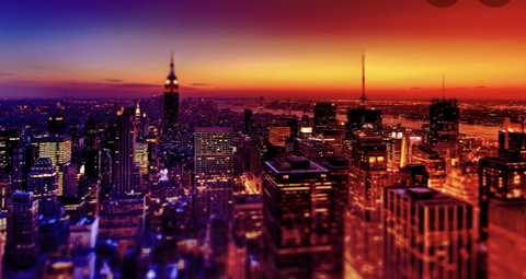 B cover image