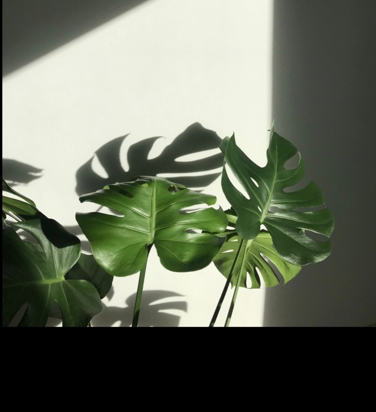 Sexxyasianfeet banner image