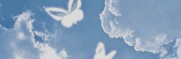 Veronica banner image