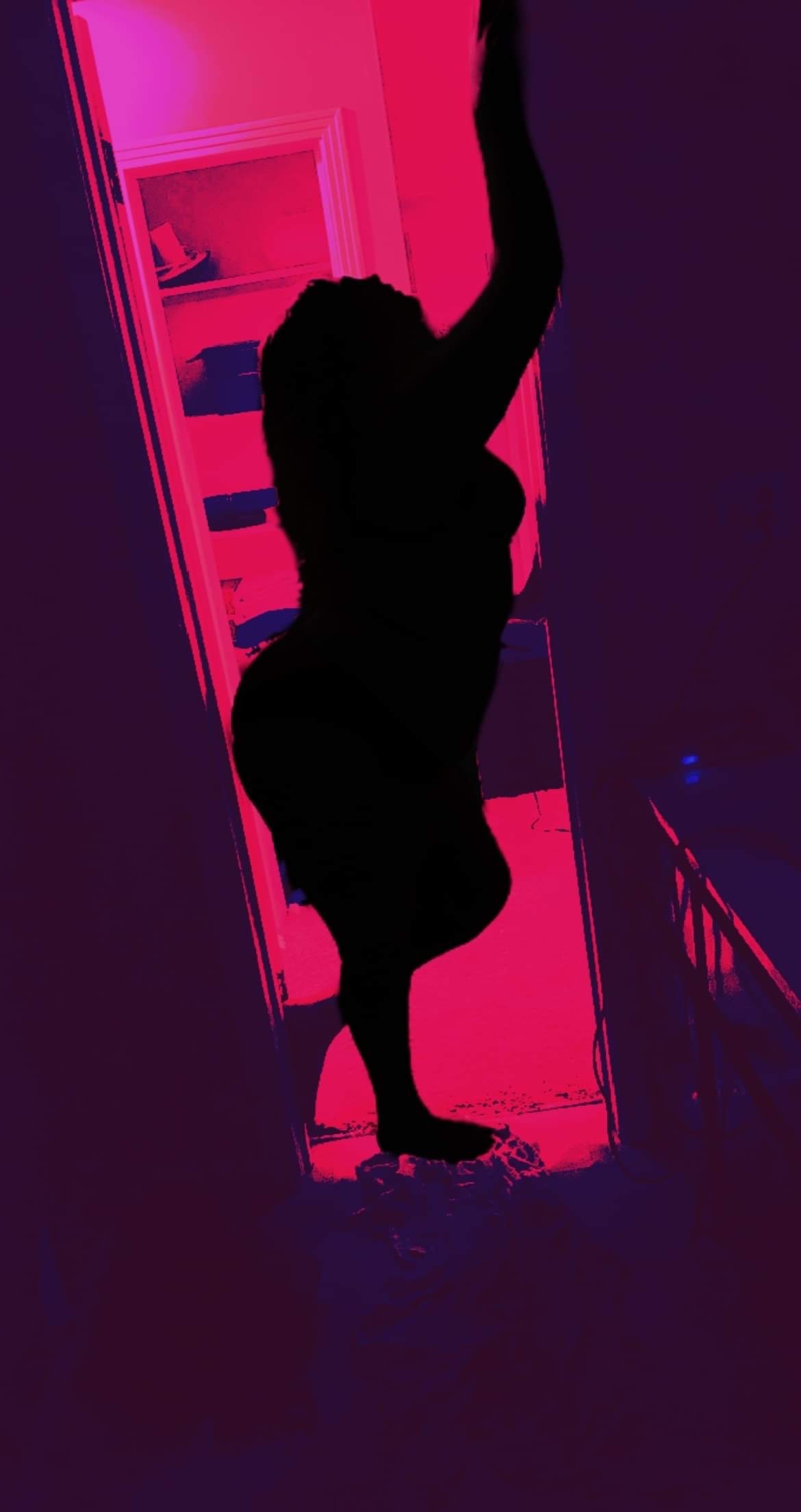 Alexis Waldo banner image