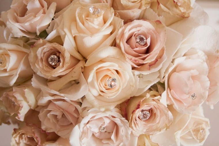 AmberRose banner image