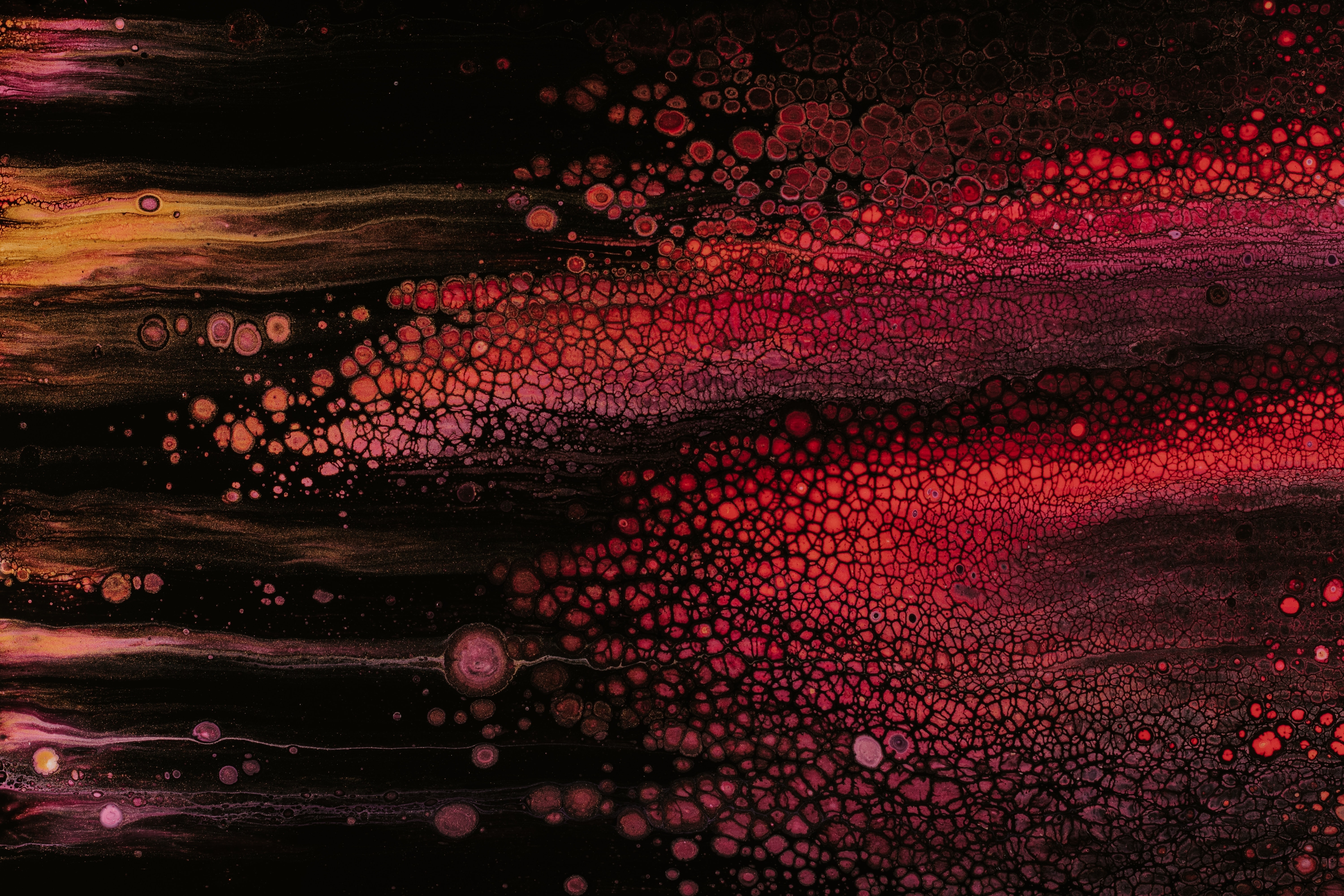 Becky Downes banner image