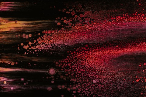 Becky Downes cover image