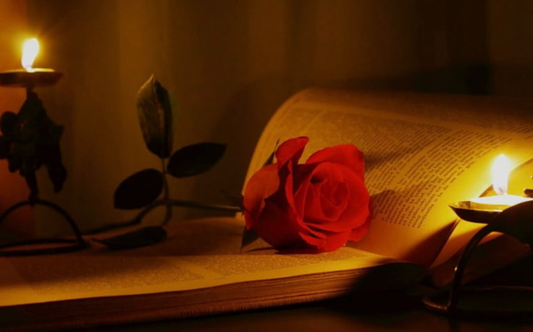 Sexy Librarian banner image