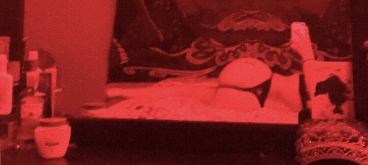Latinabby🤤 banner image