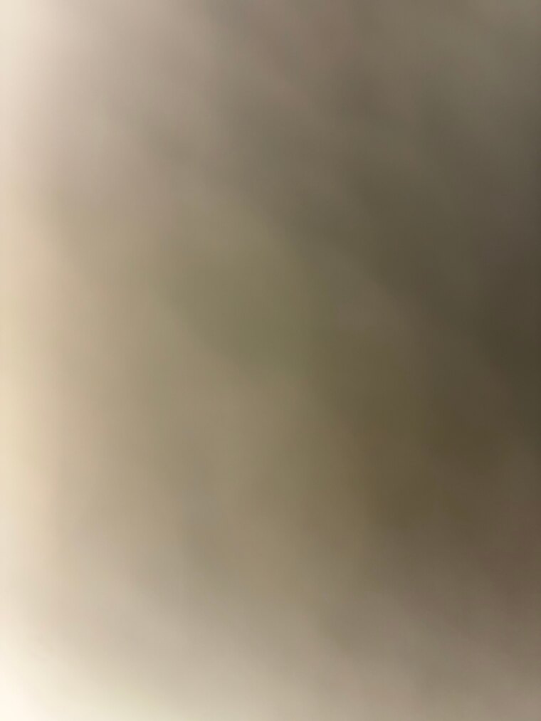 Sexbunnii cover image