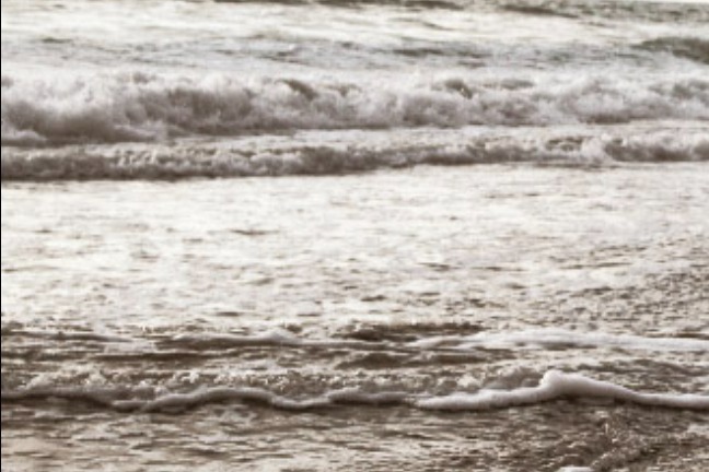 Sexy Danii banner image