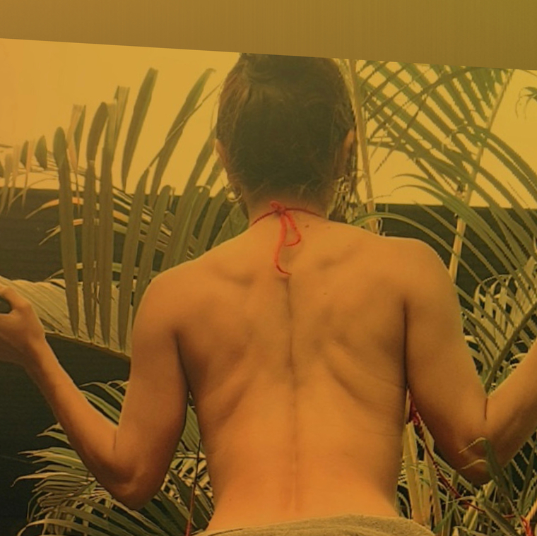 Dulce banner image